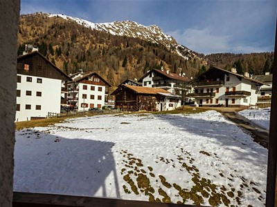 Stella Alpina